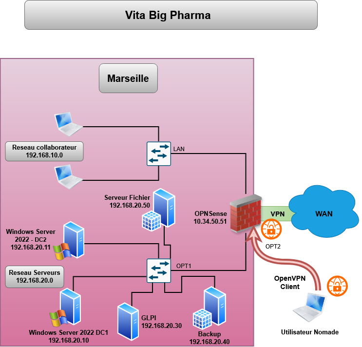 Schéma final Vita Big Pharma